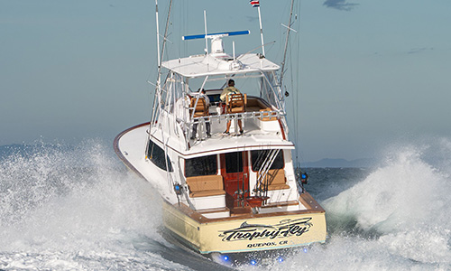 Trophy Fly - 45' Maverick